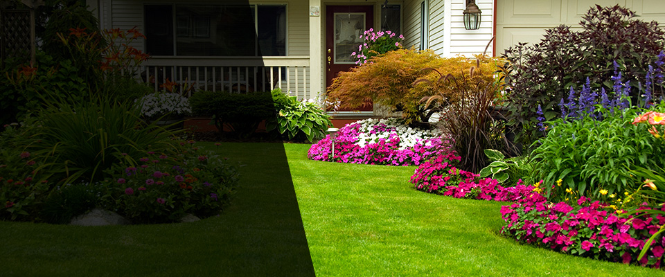 Cordele Landscapers