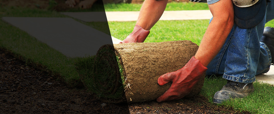 Cordele Landscapers